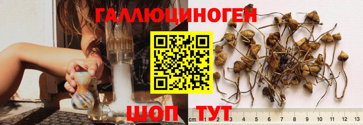 Псков  Галлюциногенные грибы MAGIC MUSHROOMS  где можно купить наркотик  Вход с VPN 